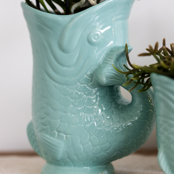 Nachtfalterorchidee - Pflanzenset Fish Türkis - 2 Pflanzen - Ø 9 cm