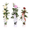 3x Rosen-Mix – Rosa mix – ↕ 65 cm – Ø 15 cm